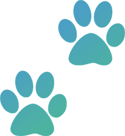 Paw prints